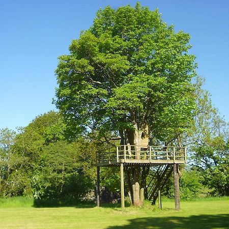 Newmoor Park Hotel Launceston Luaran gambar