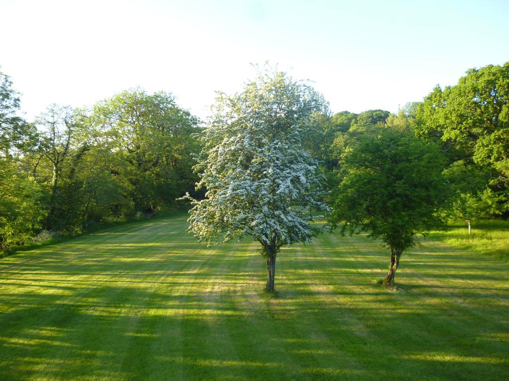 Newmoor Park Hotel Launceston Luaran gambar