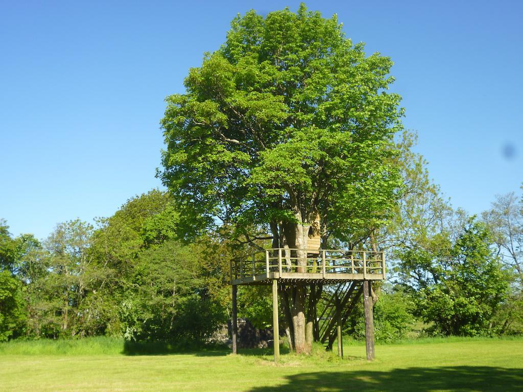 Newmoor Park Hotel Launceston Luaran gambar