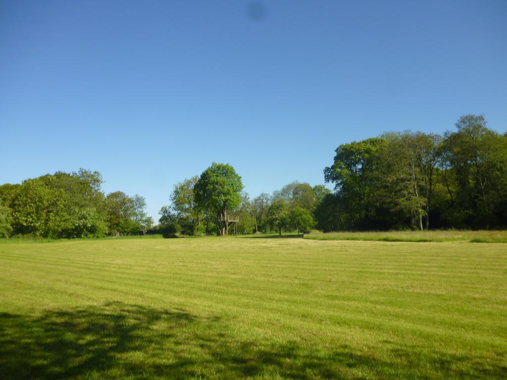 Newmoor Park Hotel Launceston Luaran gambar