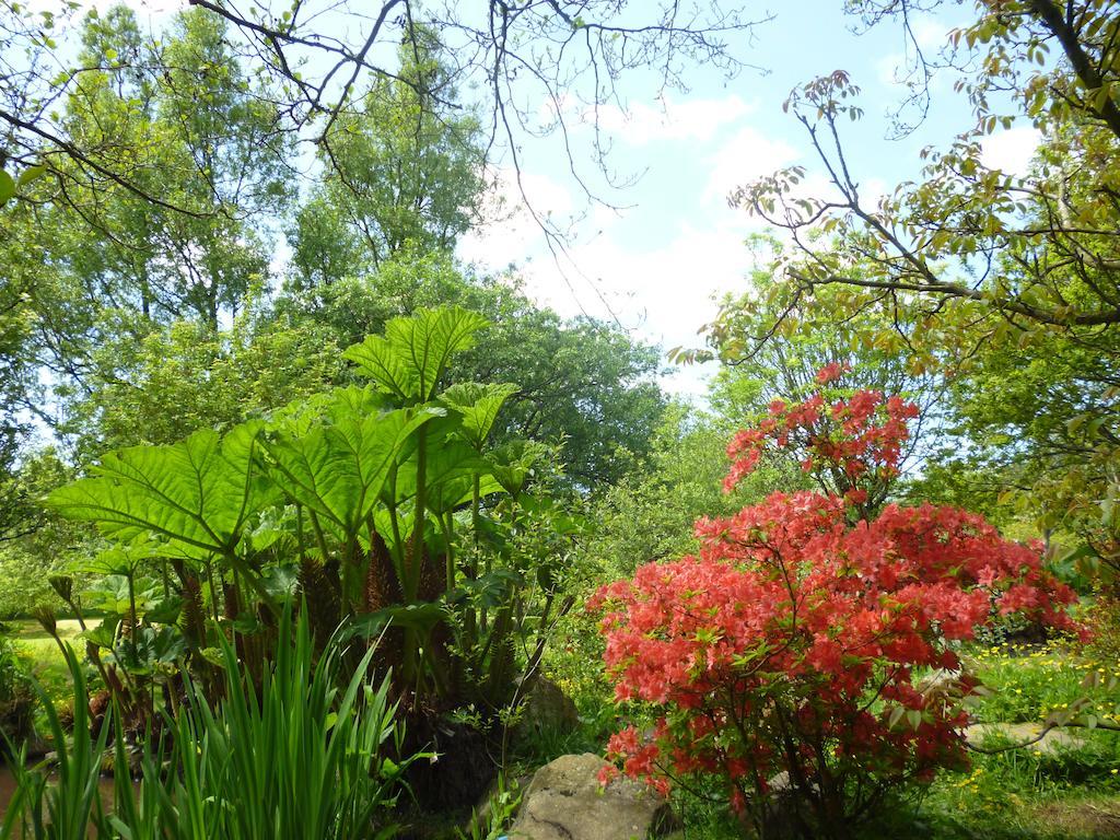Newmoor Park Hotel Launceston Luaran gambar