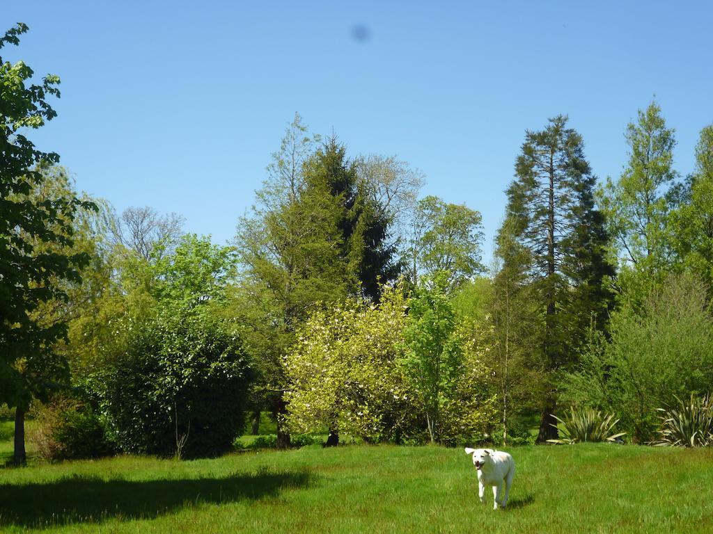 Newmoor Park Hotel Launceston Luaran gambar