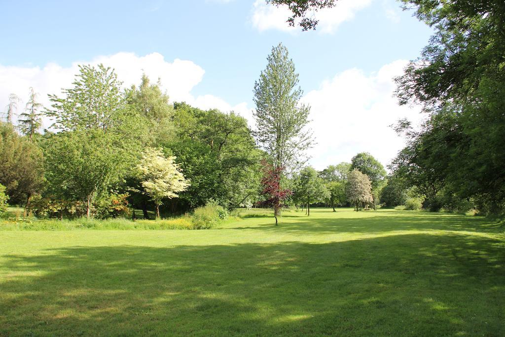 Newmoor Park Hotel Launceston Luaran gambar