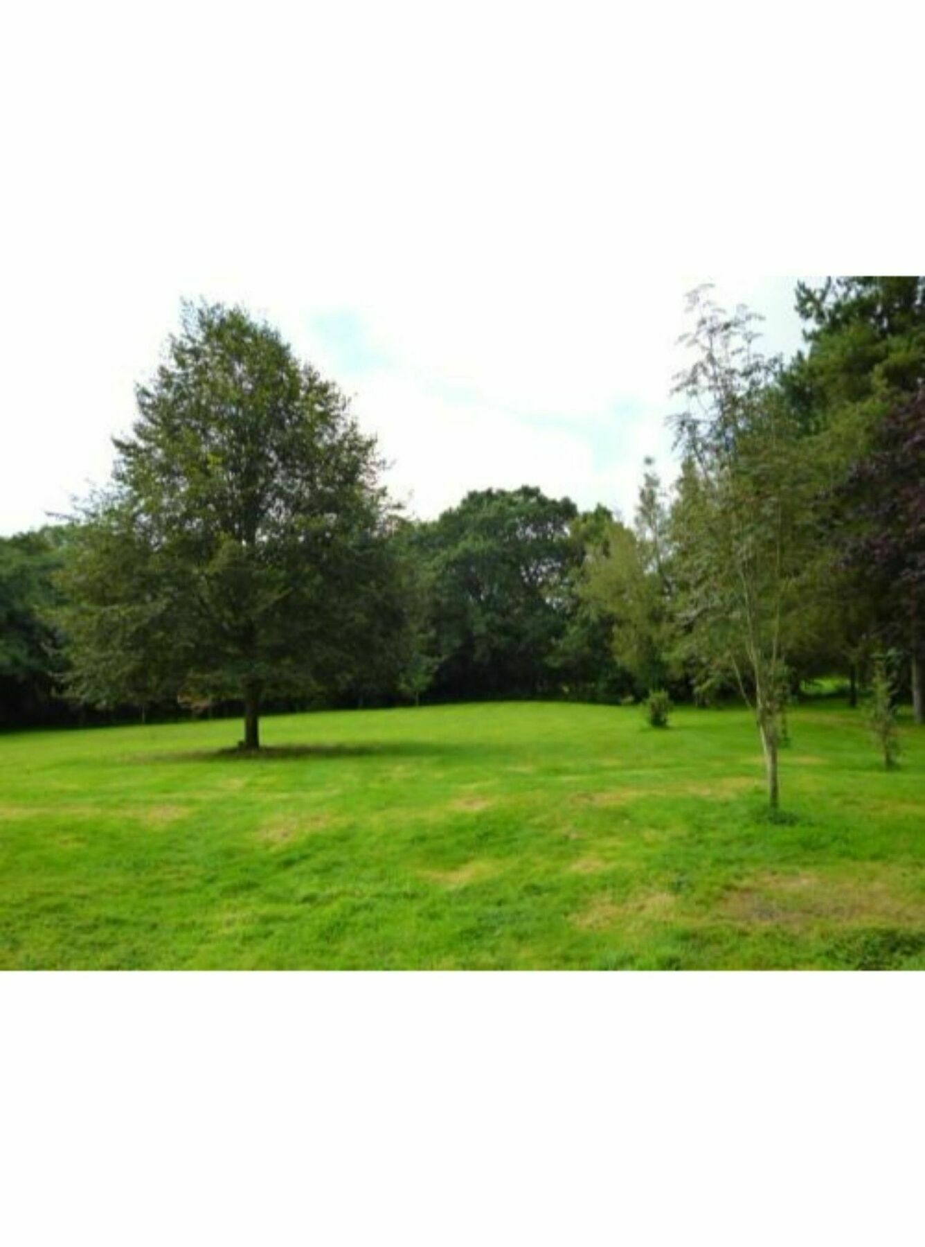 Newmoor Park Hotel Launceston Luaran gambar