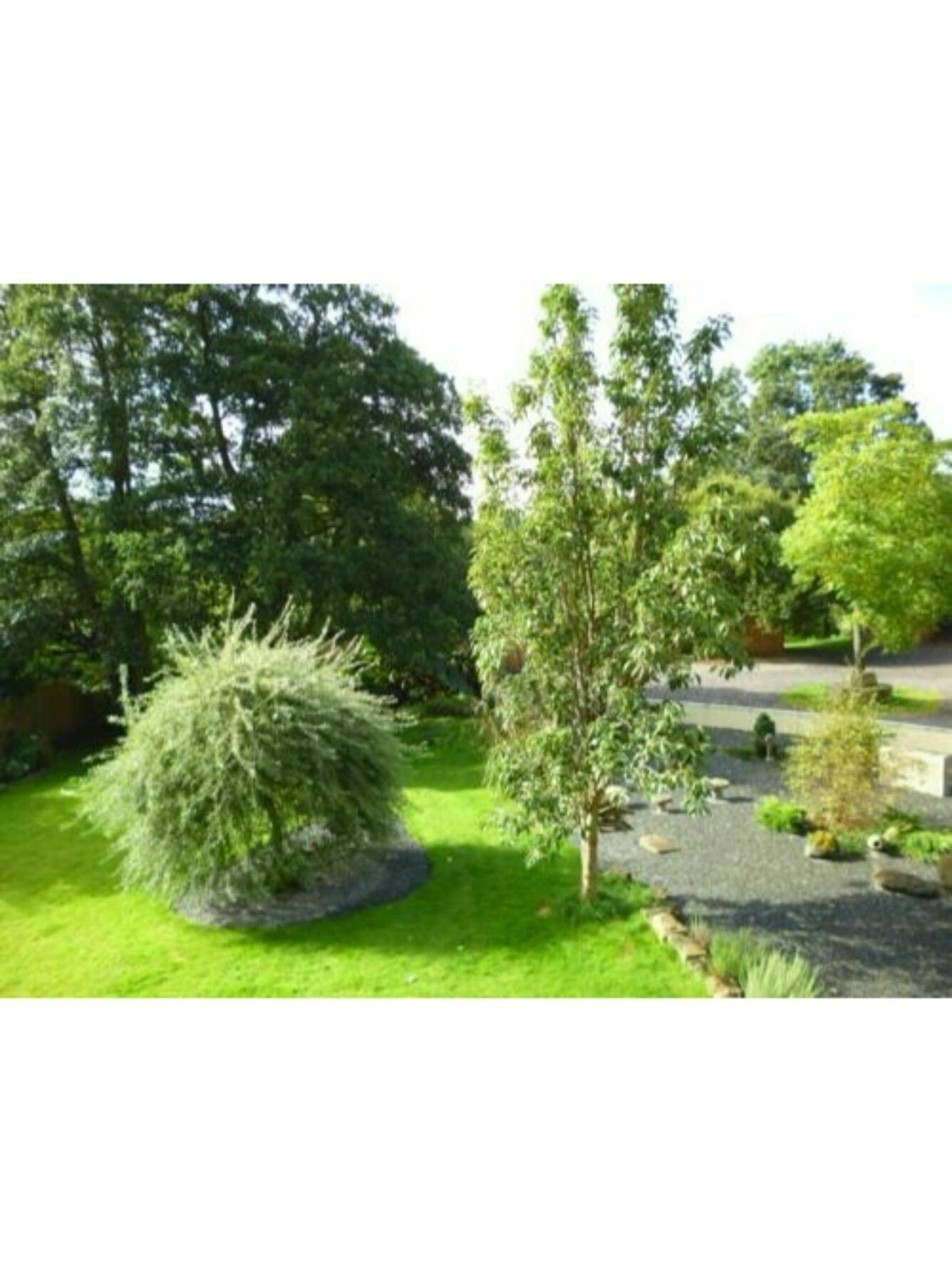 Newmoor Park Hotel Launceston Luaran gambar
